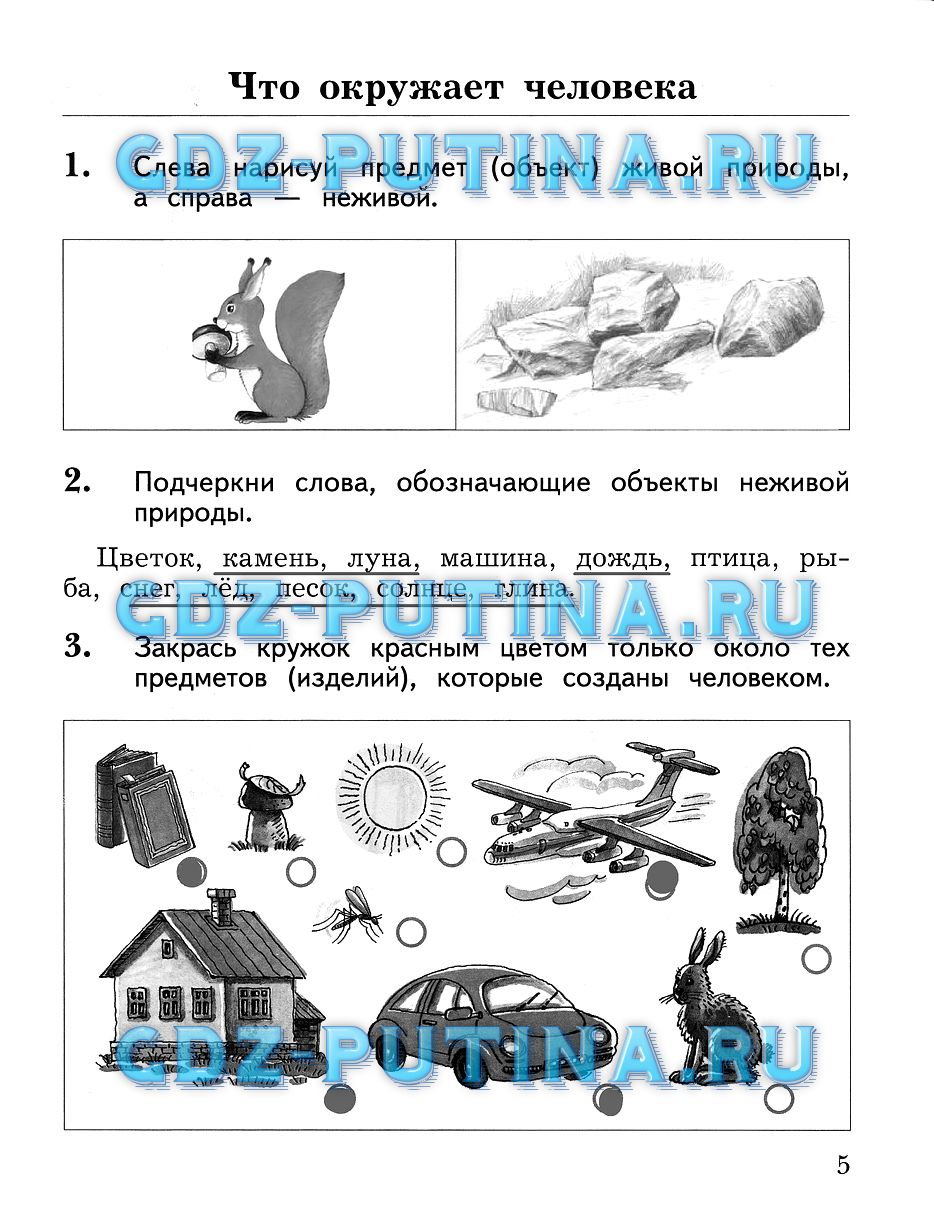 стр.5 - решебник №1