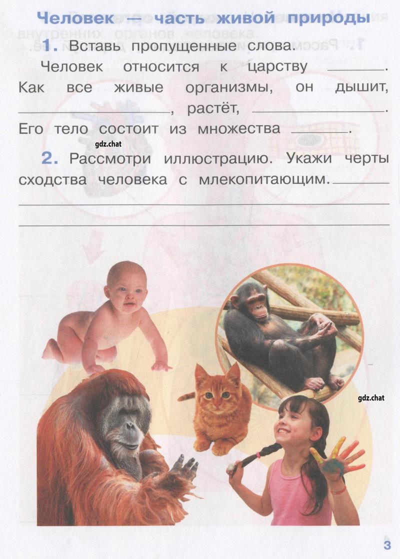 стр. 3 - условие