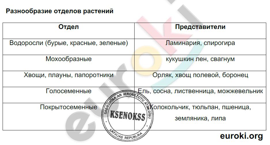 8 - решебник №2