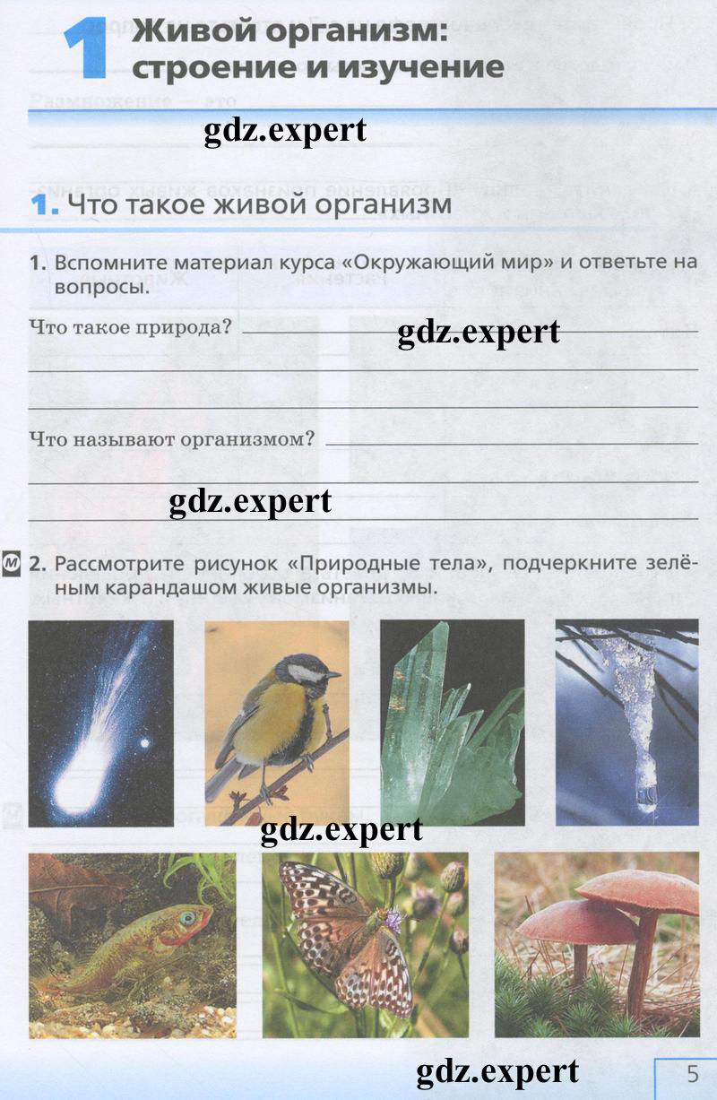  5 - условие