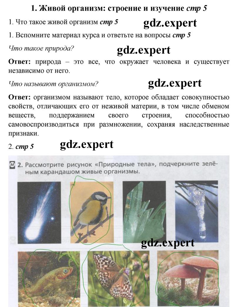  5 - решебник №1