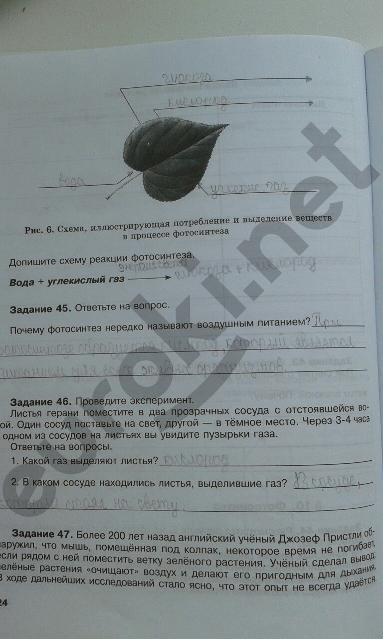 стр.24 - решение