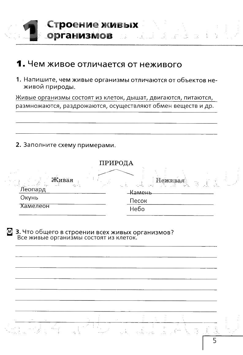 стр.5 - решебник №2 стр.5 - решебник №2