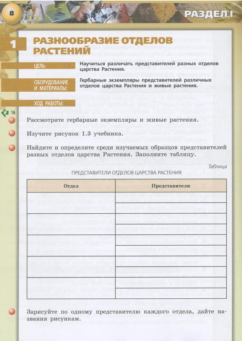 8 - условие 8 - условие