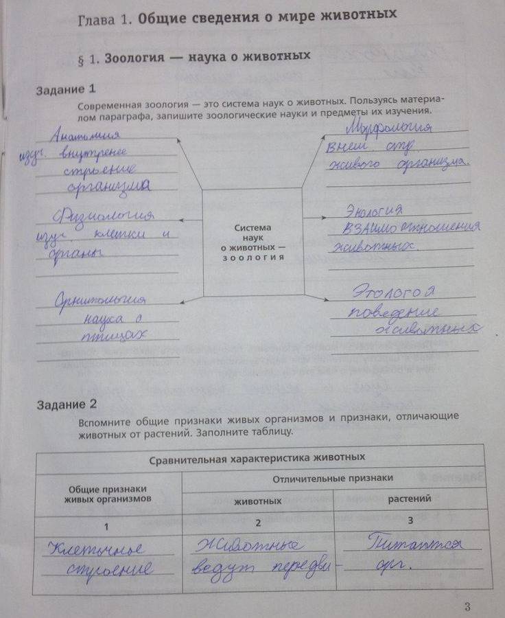 стр.3 - решебник №2
