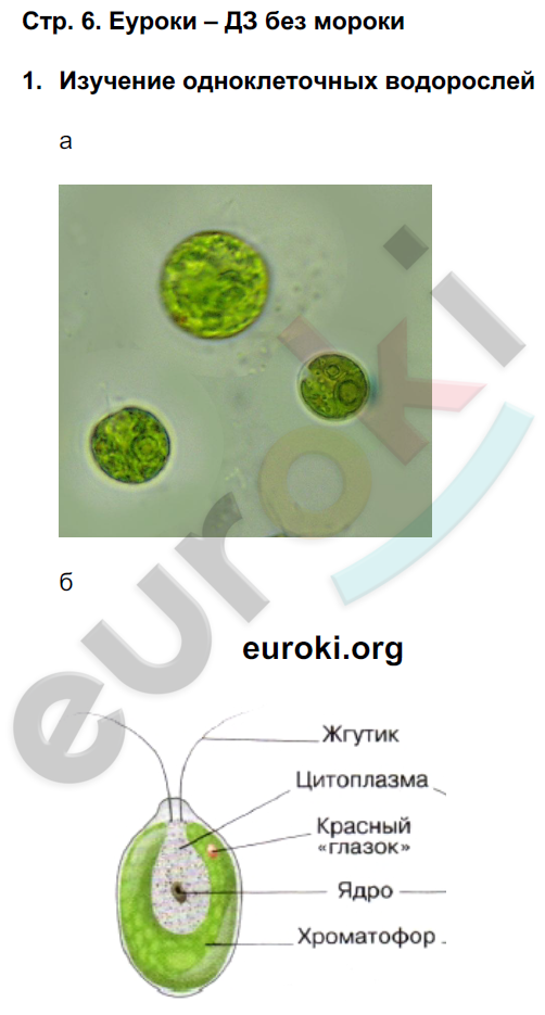 стр.6 - решение