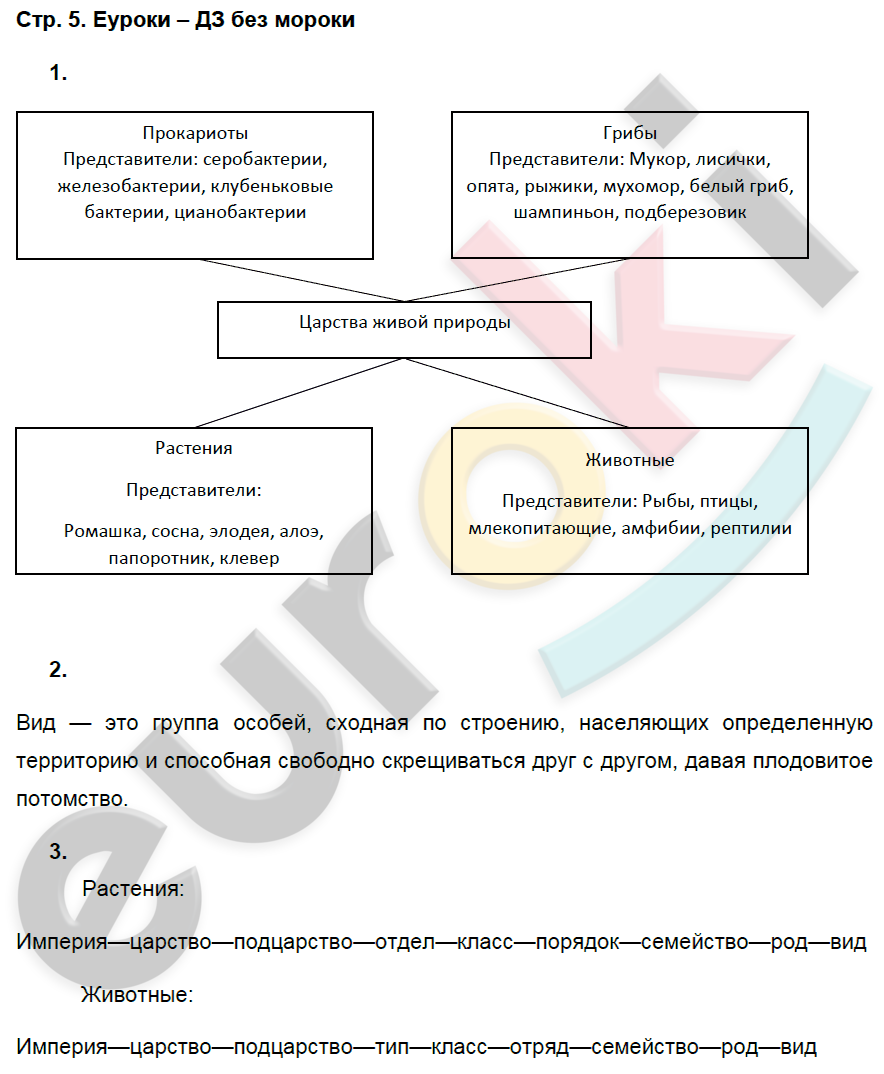 стр.5 - решебник №1